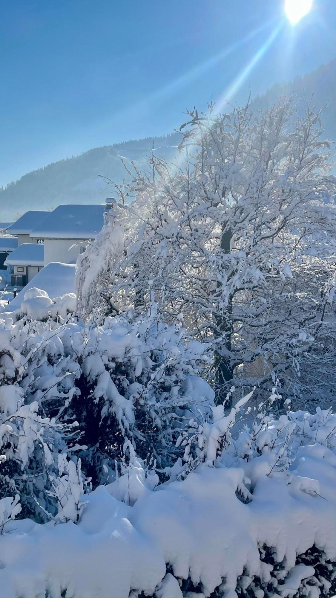 Ferienwohnung Alpseeliebe Immenstadt im Allgäu Exterior foto